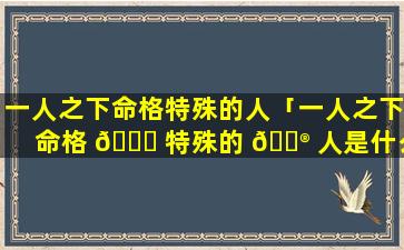 一人之下命格特殊的人「一人之下命格 🐋 特殊的 💮 人是什么」